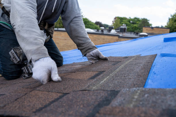 Best Gutter Installation and Roofing  in Birch Run, MI
