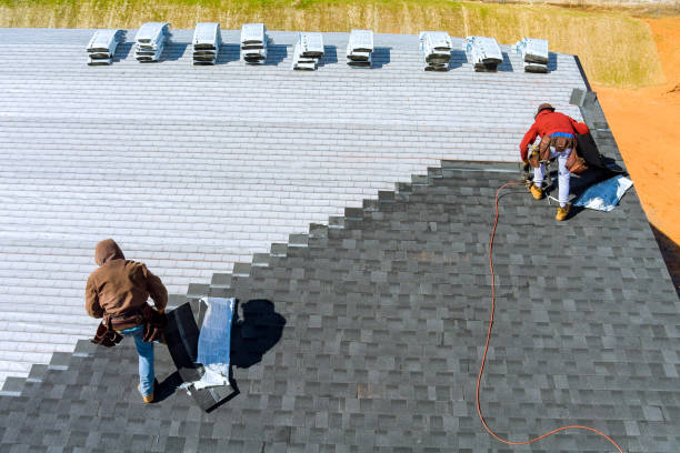 Best Storm Damage Roof Repair  in Birch Run, MI