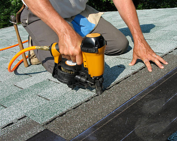 Best Roof Repair Services  in Birch Run, MI