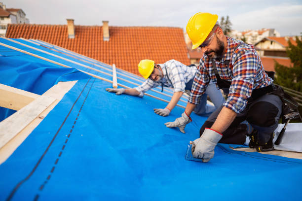 Best Commercial Roofing Services  in Birch Run, MI