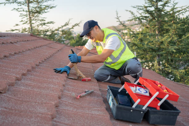 Roof Gutter Cleaning in Birch Run, MI