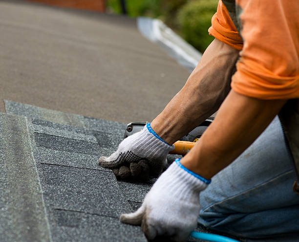 Best Commercial Roofing Services  in Birch Run, MI
