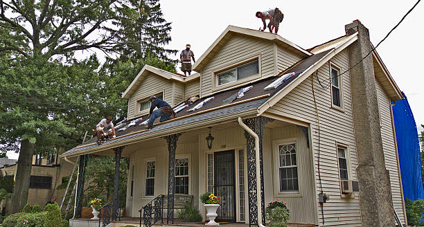 Best Residential Roofing Contractor  in Birch Run, MI