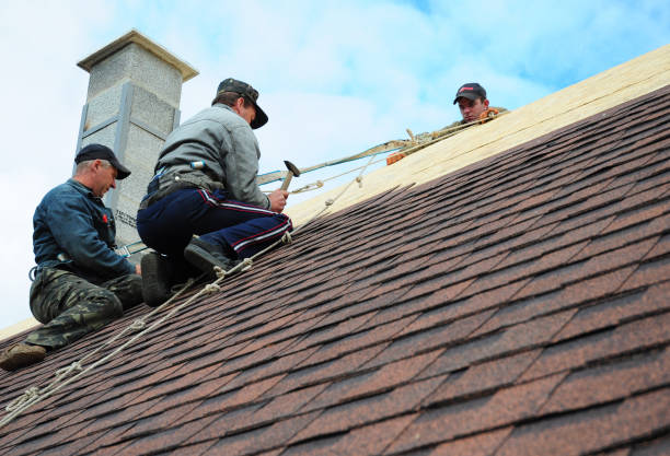 Quick and Trustworthy Emergency Roof Repair Services in Birch Run, MI