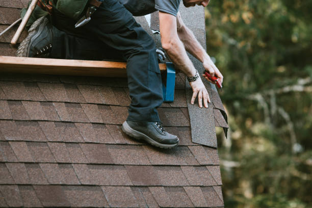 Best Roof Maintenance Services  in Birch Run, MI
