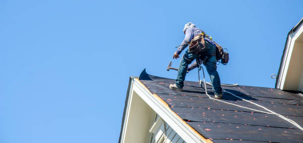 Best Storm Damage Roof Repair  in Birch Run, MI